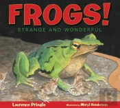 Frogs!