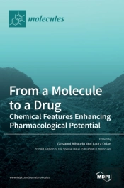 From A Molecule To A Drug
