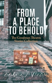 From A Place To Behold: The Goodman Thea