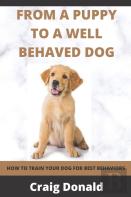 From A Puppy To A Well Behaved Dog