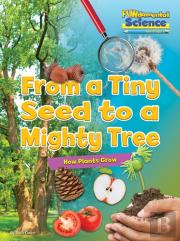 From A Tiny Seed To A Mighty Tree