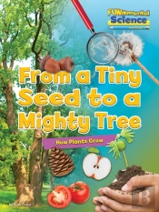 From A Tiny Seed To A Mighty Tree