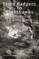 From Badgers To Nighthawks