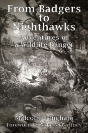 From Badgers To Nighthawks