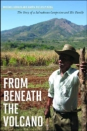 From Beneath The Volcano