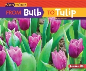 From Bulb To Tulip