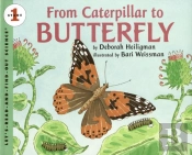From Caterpillar To Butterfly Big Book