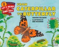 Bertrand.pt - From Caterpillar To Butterfly