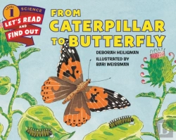 Bertrand.pt - From Caterpillar To Butterfly