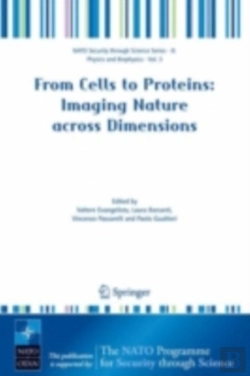 Bertrand.pt - From Cells To Proteins: Imaging Nature Across Dimensions