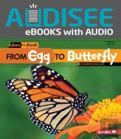 From Egg To Butterfly