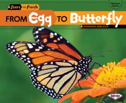 Bertrand.pt - From Egg To Butterfly