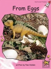 From Eggs