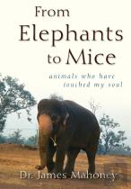 From Elephants To Mice