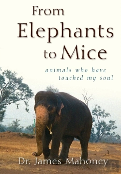 Bertrand.pt - From Elephants To Mice