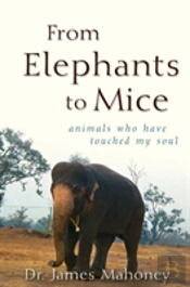 From Elephants To Mice