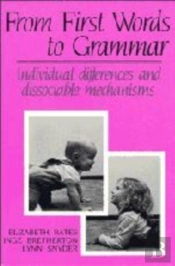 From First Words To Grammar