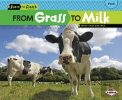 From Grass To Milk