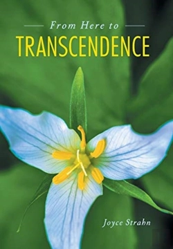 Bertrand.pt - From Here To Transcendence