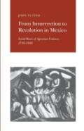 From Insurrection To Revolution In Mexico