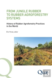 From Jungle Rubber To Rubber Agroforestry Systems - History Of Rubber Agroforestry Practices In The