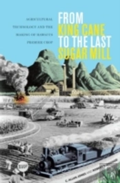 From King Cane To The Last Sugar Mill