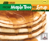 From Maple Tree To Syrup