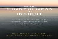 From Mindfulness To Insight