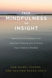 From Mindfulness To Insight