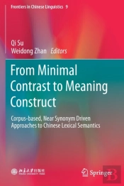 From Minimal Contrast To Meaning Construct