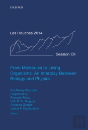 From Molecules To Living Organisms: An Interplay Between Biology And Physics