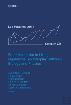 Bertrand.pt - From Molecules To Living Organisms: An Interplay Between Biology And Physics