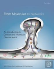From Molecules To Networks