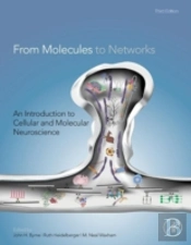From Molecules To Networks