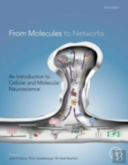Bertrand.pt - From Molecules To Networks