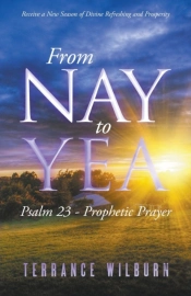 From Nay To Yea