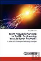 From Network Planning To Traffic Engineering In Multi-Layer Networks