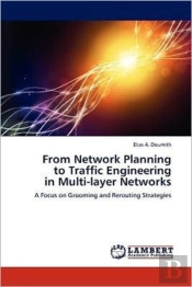 From Network Planning To Traffic Engineering In Multi-Layer Networks