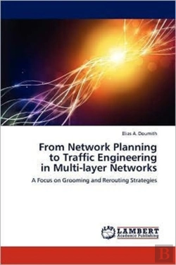 Bertrand.pt - From Network Planning To Traffic Engineering In Multi-Layer Networks