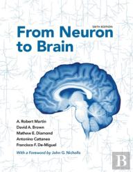 From Neuron To Brain