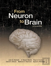 From Neuron To Brain