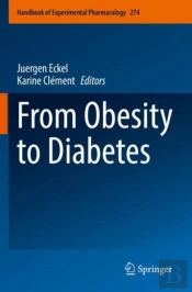 From Obesity To Diabetes