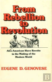 From Rebellion To Revolution
