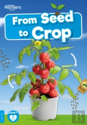 From Seed To Crop