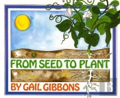 From Seed To Plant