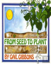 From Seed To Plant
