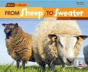 From Sheep To Sweater