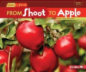 From Shoot To Apple