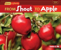 Bertrand.pt - From Shoot To Apple