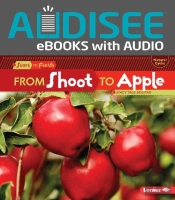 From Shoot To Apple